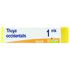 LABORATOIRES BOIRON Srl THUYA OCCIDENTALIS MK GLOBULI