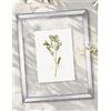 Bildershop-24 Telaio in vetro doppio con doppi vetri, Prio in Argento vintage lucido 40x60cm con vetro acrilico, cornice per quadri con doppi vetri