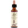 SCHWABE PHARMA ITALIA WATER VIOL BACH ORIG 20ML - SCHWABE PHARMA ITALIA - 942860115
