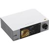 Eversolo DMP-A6 Master Gen 2-Silver, Streamer di musica Hi-Fi, lettore audio Wireles, Streamer di musica digitale, DAC, servizio musicale e streaming, DSD512, motore audio EOS, motore EVC PCM768kHz