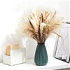 LZGS Go Swing Bands Fiori secchi decorativi Bouquet Erba Della Pampas Decorative 40-44 cm di fiori secchi naturali fai da te Ideale per il soggiorno Boho Camera da letto e vasi (LZGSGO-0118)