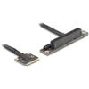 DeLOCK 81295 scheda di interfaccia e adattatore Interno PCIe