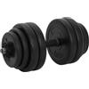 vidaXL 2X Manubrio 30 kg Palestra Attrezzi Fitness Bilanciere con Dischi Peso