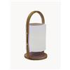 Lumisky Lampada decorativa a LED in & outdoor con altoparlante Bluetooth e batteria Woody