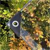 Swociro Telone impermeabile trasparente 420 g/m², 0,3 mm, spesso, multifunzione, PVC, protezione con occhielli, per piscina, giardino, auto, mobili, include corda e fascette per cavi (2,4 x 4 m)