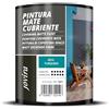 JOVIRA PINTURAS Pittura di copertura opaco. Pittura per interni ed esterni con eccellente potere coprente. (750 Millilitri, Blu Turchese)