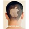 MONDADORI Il culto del Mac