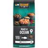 Belcando Adult GF Ocean [1 kg] Cibo per cani senza cereali | Cibo secco puro senza cereali con pesce | Alimento completo per cani adulti di almeno 1 anno