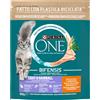 Purina One Gatto Speciale Pollo e Cereali 800G