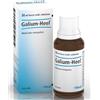 GUNA SpA Galium Heel 30ml Gocce Omeopatiche Guna - Guna - 909468389