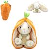 FLIPETZ Les Déglingos FLIPETZ Doudou Gadget Il Coniglio/Carota - Coniglio copricopricopricopricopricopriviso reversibile - Peluche morbido per neonati - Idee Regalo per la nascita