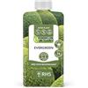 Empathy empatia, pianta sempreverde Biostimulant e, l,