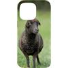 Cadeau Personnalisé beau Coeur D'Amour D Custodia per iPhone 14 Pro Max Pecora nero carino prato natura country