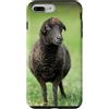 Cadeau Personnalisé beau Coeur D'Amour D Custodia per iPhone 7 Plus/8 Plus Pecora nero carino prato natura country