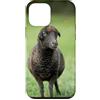 Cadeau Personnalisé beau Coeur D'Amour D Custodia per iPhone 12 mini Pecora nero carino prato natura country