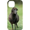 Cadeau Personnalisé beau Coeur D'Amour D Custodia per iPhone 13 Pecora nero carino prato natura country