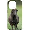 Cadeau Personnalisé beau Coeur D'Amour D Custodia per iPhone 13 Pro Pecora nero carino prato natura country
