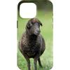 Cadeau Personnalisé beau Coeur D'Amour D Custodia per iPhone 16 Pro Max Pecora nero carino prato natura country