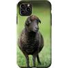 Cadeau Personnalisé beau Coeur D'Amour D Custodia per iPhone 11 Pro Max Pecora nero carino prato natura country