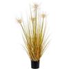 BIZZOTTO PIANTA DESERTO PAGLIA H90 0172476