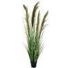 BIZZOTTO PIANTA CARINE PAMPAS H96,5 0172902