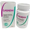 Doc Generici Gabadin 30cpr