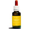 NATUR Srl LIBERATI OSSESSIONI MIX NATUR