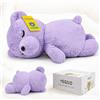 Yeqivo Koala Peluche a Forma di Orsacchiotto Che Dorme, Bambola Orso del Sonno Koalabär Addormentato, Regalo del Bambino (50CM, Lilla)