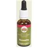 BUSH BIOTHERAPIES Pty Ltd passion love 30 ml