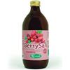 SANGALLI Srl berrysan puro succo cranberry 500 ml