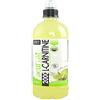 QNT Actif by Juice 2000 L-Carnitine 700ml Tè alla Pesca