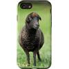 Cadeau Personnalisé beau Coeur D'Amour D Custodia per iPhone SE (2020) / 7/8 Pecora nero carino prato natura country