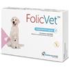 Pharmacross Co Ltd Folicvet Mangime Complementare Per I Disturbi Intestinali Di Cani E Gatti 15 Compresse Appetibili