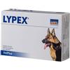 Vetplus Ltd Lypex 60capsule