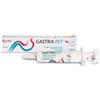 Candioli Spa Gastrik Pet Pasta Appetibile Per La Mucosa Dello Stomaco Siringa Da 30ml