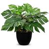 Hollyone - Pianta artificiale Monstera da 37 cm, piante tropicali decorative per interni, decorazione per camera, ufficio, casa