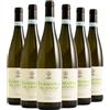 Mastroberardino Falanghina del Sannio DOC 2023 Box da 6 bottiglie