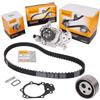 CONTITECH CT915WP2 Kit cinghia distribuzione pompa acqua N° denti: 87 17 mm Compatibilità con RENAULT Clio 2 BB0/1/2, CB0/1/2 Twingo 1 C06 KANGOO KC0/1 KANGOO Express FC0/1 Clio 1 B/C57, 5/357