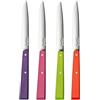 Opinel - Set di 4 Coltelli da Tavola N°125 Bon Appétit Pop - Lama in Acciaio Inossidabile - Manico in Legno di Charme - Fabbricazione Francese - Colori Viola, Verde Mela, Fucsia, Mandarino.