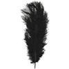 Rayher Piume di Struzzo, Nero, 30 Cm, Busta 1 Pz, 8510401