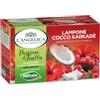L'Angelica Infuso Passione di Frutta Valfrutta Lampone e Cocco, Tisane Calde e Fredde Zero Calorie con Vera Frutta, Confezione da 15 Filtri