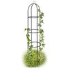 BAKAJI Supporto per Piante Rampicanti Obelisco Arco da Giardino Altezza 185 cm Colore Verde Scuro