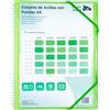 Raylu Paper® - Cartella classificatrice con anelli trasparenti A4 da 90 micron e busta con chiusura adesiva, coperchio personalizzabile. Cartella di buste 100% biodegradabile (30 custodie, verde)