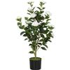 HOMCOM Pianta Finta di Camelia con Fiori Realistici, 176 Foglie in PEVA e Vaso Nero in PP Riempito in Cemento, Bianco | Aosom Italy