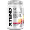 Xtend EcoLight SCIVATION Xtend BCAA (aminoacidi, rigenerazione) 1296g punch alla frutta