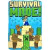 Clondo Coperta Plaid Per Bambini, Per Minecraft Fan, Morbido Pile, Idea Regalo, Gadget, Super Soffice, Bambino e Bambina