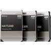 Synology Disco rigido interno Synology HAT5300 12 TB 7200 RPM 256 MB 3,5" Serial ATA III