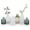 WILDMOS Set di 6 piccoli vasi da fiori decorativi, in vetro sfumato e mini bottiglie in rilievo in stile vintage per la casa, centrotavola 8,4-13 cm di altezza (trasparente + verde)