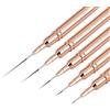 ZEOHBETY Pennelli per nail art, 5 pennelli per nail art, set di pennelli per disegnare e punteggiare le unghie, per linee lunghe, dettagli sottili, dimensioni 4/8/12/20/29 mm，oro rosa