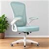 GartistGo Sedia da ufficio ergonomica con braccioli ribaltabili a 90° e supporto lombare, cuscino in spugna ad alta densità, con sollevamento a gas (capacità 150 kg) e schienale in rete traspirante